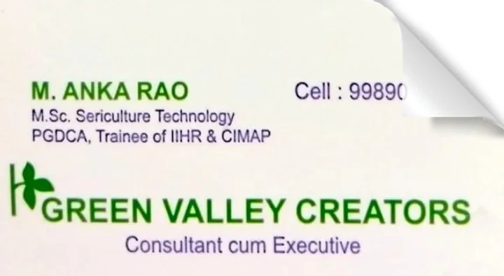 Green Valley Creators in Pattabhipuram