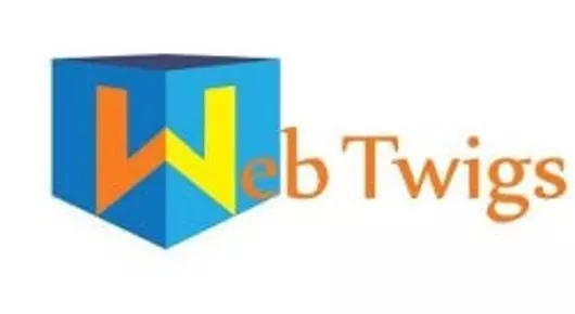 Web Twigs Solutions in Arundelpet