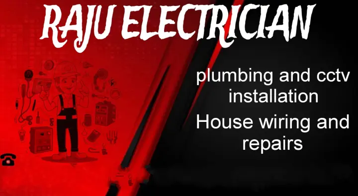 Raju Electricians in Tenali
