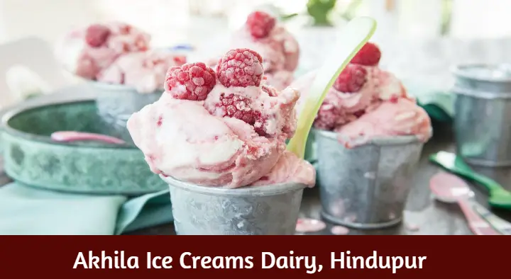 Akhila Ice Creams Dairy in Auto Nagar