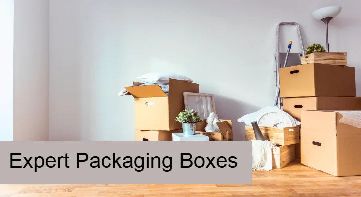 Expert Packaging Boxes in Choutuppal