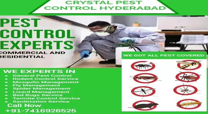 Crystal Pest Control in Attapur