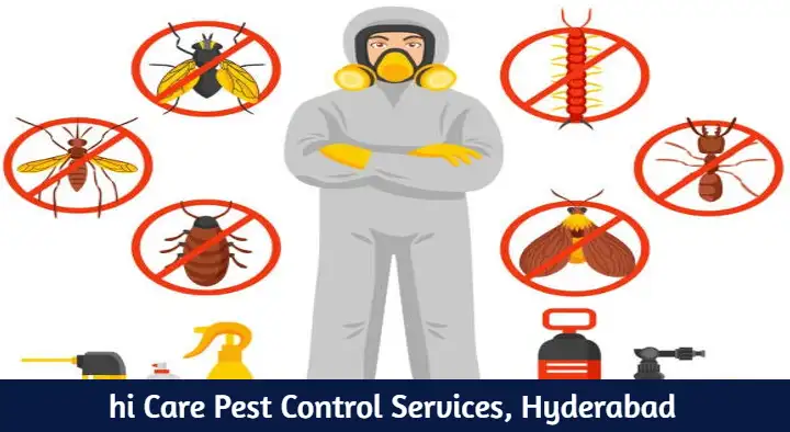 hi Care Pest Control Services in Mehdipatnam