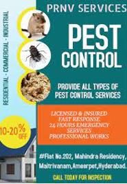 Pest Control in Ameerpet