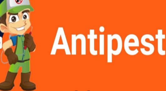 Antipest Pest Control Service in Himayatnagar
