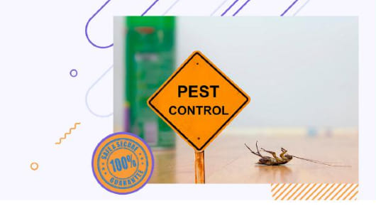 Xperts Pest Control Services in Gachibowli