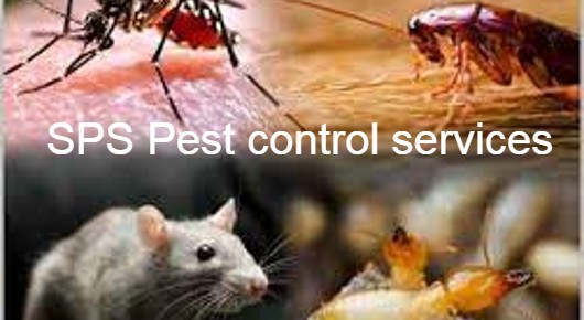 SPS Pest control services in Gandipet