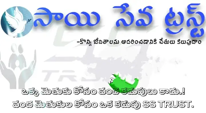 Sai Seva Trust in Choutuppal