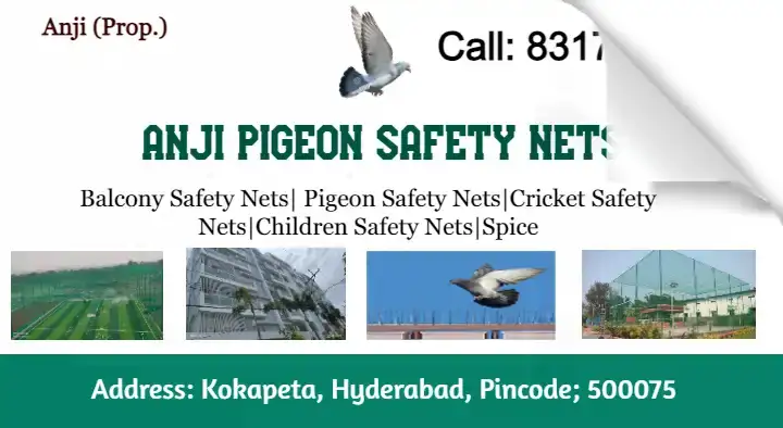 Anji Pigeon Safety Nets in Kokapeta