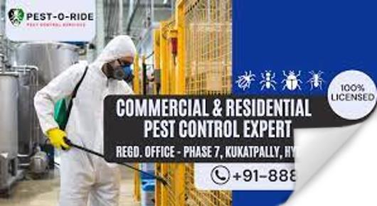 pest control service in kukatpally