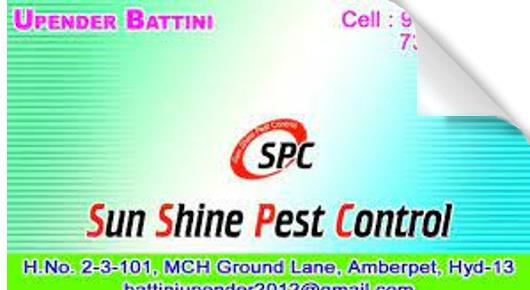 Sun Shine Pest Control in Amberpet