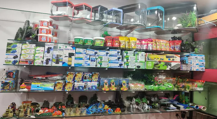 Blue Sea Aquariums and Pets in Vengal Rao Nagar