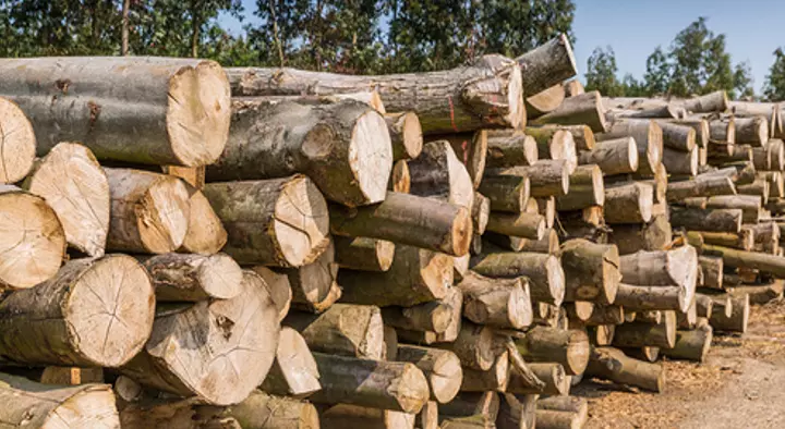 Annapurna Timbers in Ameerpet