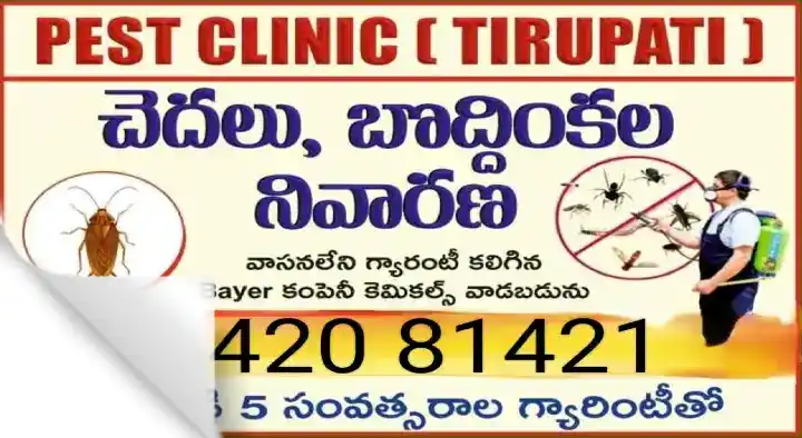 Pest Control Services in LB Nagar