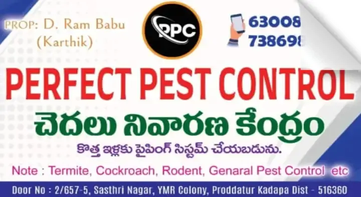 Perfect Pest Control in Proddatur