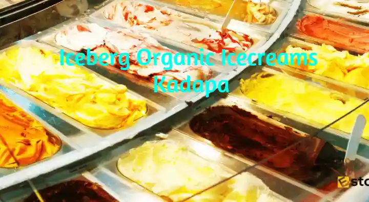 Iceberg Organic Icecreams in Ganagapeta