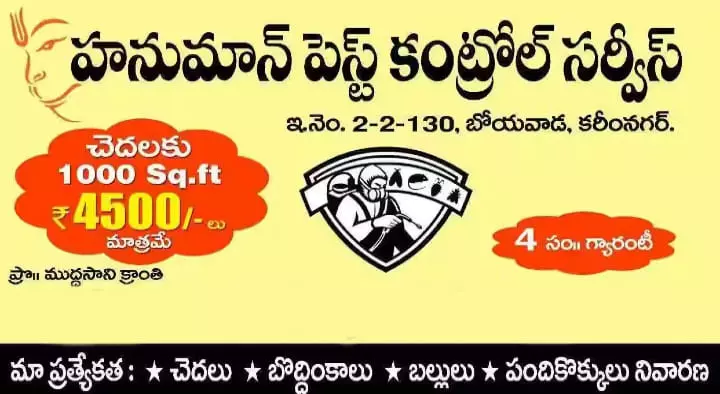 Hanuman Pest Control Services in Boiwada