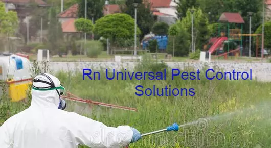 Rn Universal Pest Control Solutions in Padma Nagar