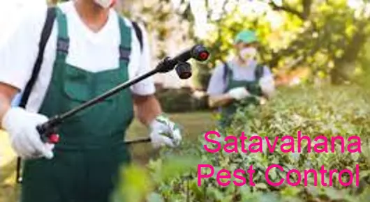 Satavahana Pest Control in Kothirampur