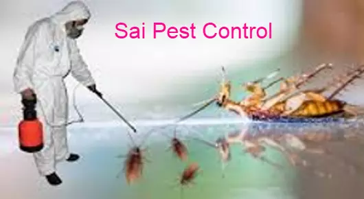 Sai Pest Control in Kashmirgadda