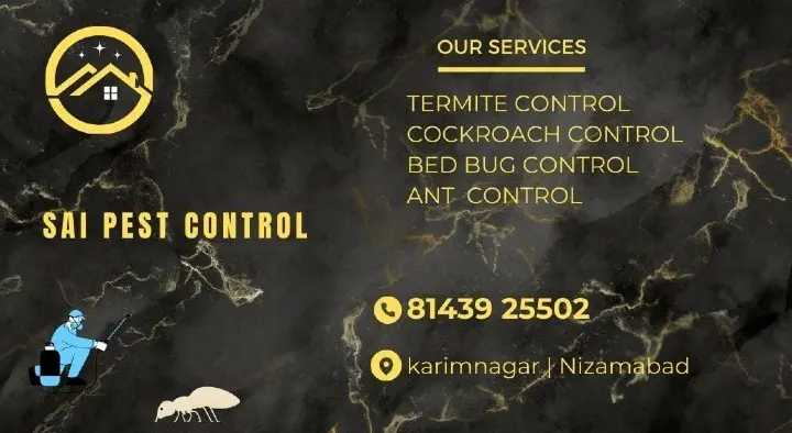 Sai Pest Control Services in Hanuman Nagar