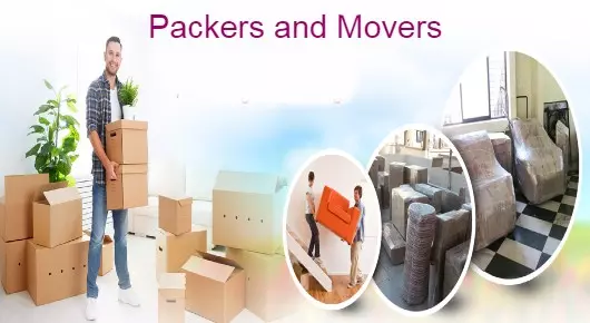 Divya Sree Packers and Movers in Mamillagudem