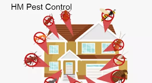 HM Pest Control in VITTAL NAGAR