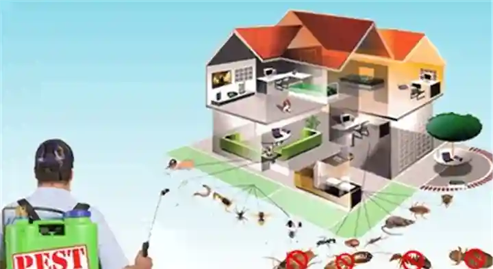Dhanalaxmi Pest Control Services in Ashok Nagar