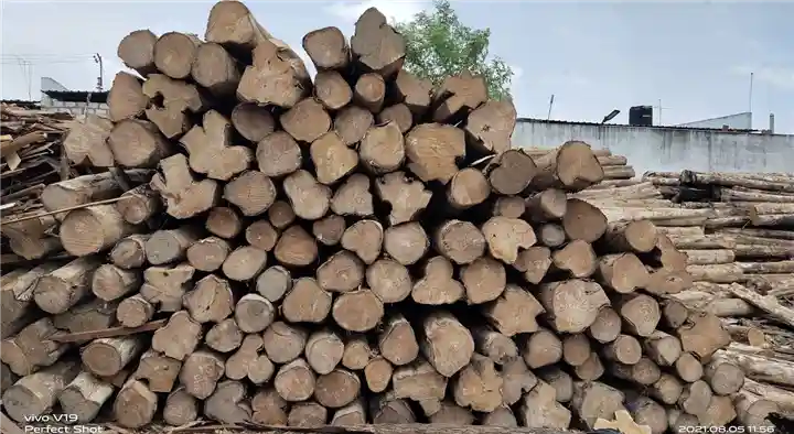 Sri Laxmi Timber Depot in Gandhi Nagar