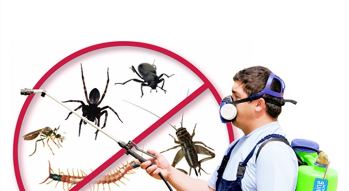 Lakshmi Pest Control Services in Ravindra Nagar