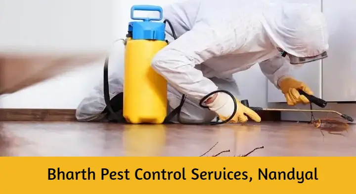 Bharth Pest Control Services in Srinivasa Nagar