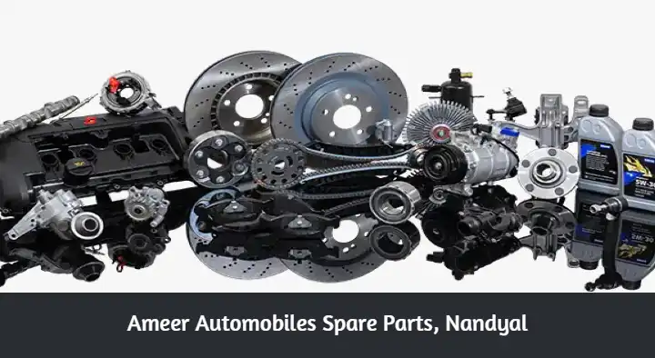 Ameer Automobiles Spare Parts in Srinivasa Nagar