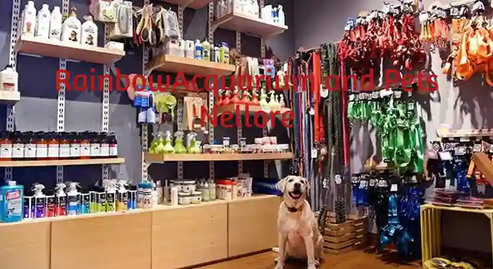 Rainbow Aquarium and Pets in Ram Nagar