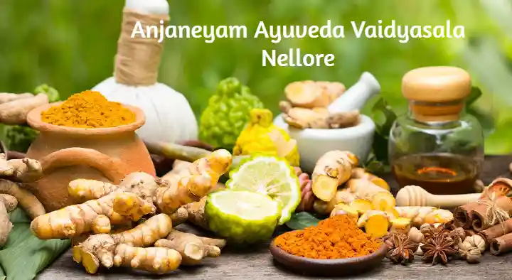Anjaneyam Ayurveda Vaidyasala in Bhakthavatsala Nagar