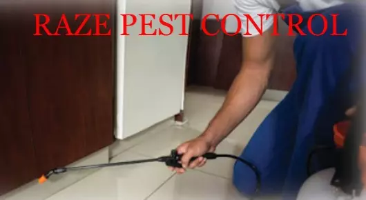 RAZE PEST CONTROL in Dargamitta