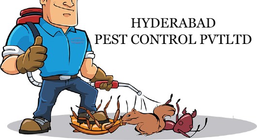HYDERABAD PEST CONTROL PVTLTD in MADRAS BUS STAND