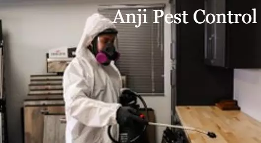 Anji Pest Control in Fathekhanpet