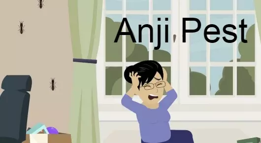 Anji Pest in Ramesh Reddy Nagar