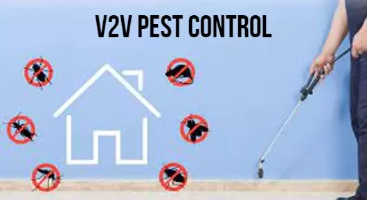 V2V pest control in Revenue Colony