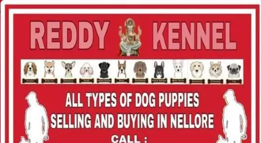 Reddy Kennel in Mypadu Road