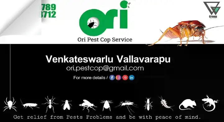 Ori Pest Cop Services in Padmavathi Nagar