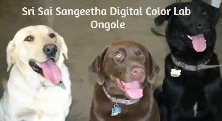 Sri Sai Sangeetha Digital Color Lab in Dibbala Road