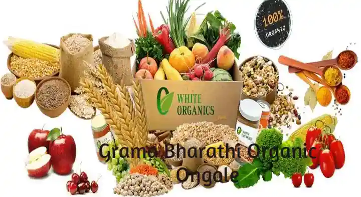 Grama Bharathi Organic in Lawyer Peta