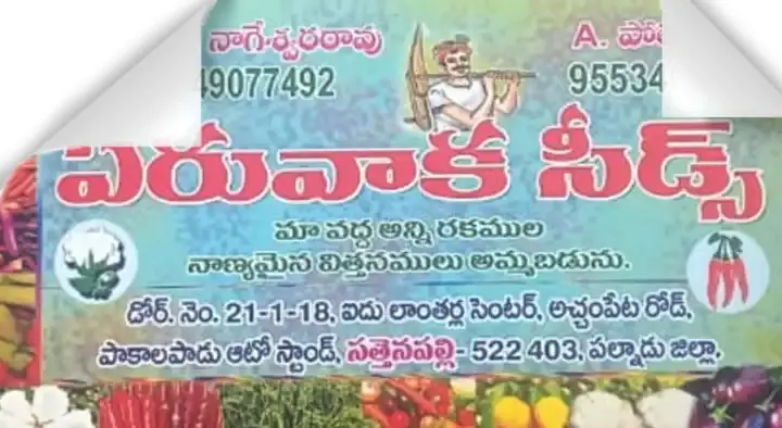 Eruvaka Seeds in Sattenapalle