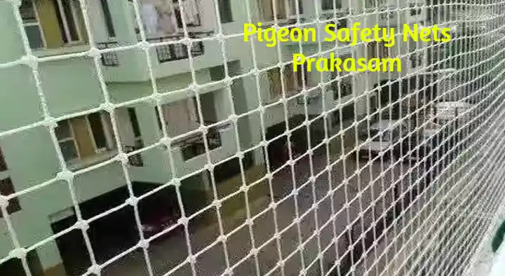 Pigeon Safety Nets in Vadarevu Road