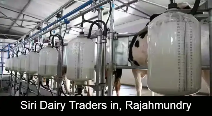 Siri Dairy Traders in Dasari Vari Peta