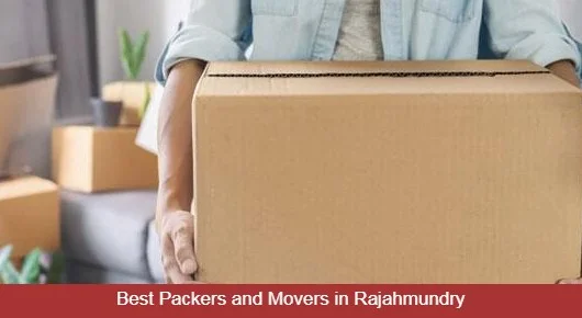 Raghavendra Packers and Movers in Danavai Peta