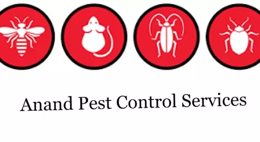 Anand Pest Control Services in Jampet