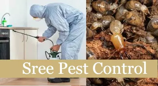 Sree Pest Control in Gandhipuram