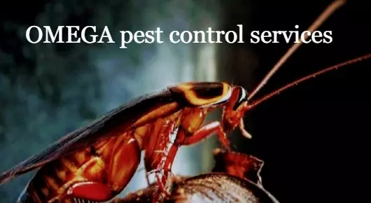 OMEGA Pest Control Services in Nehru nagar